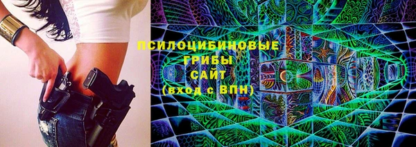 прущие грибы Алзамай