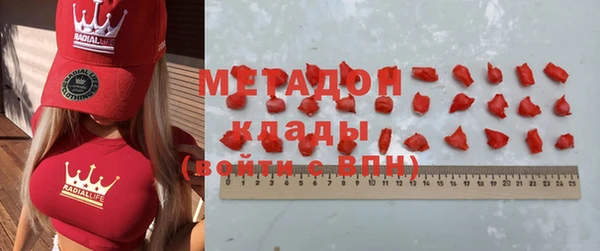 прущие грибы Алзамай