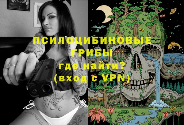 ALPHA PVP Алексин