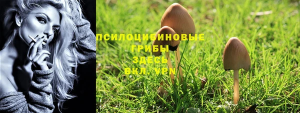 первитин Алексеевка