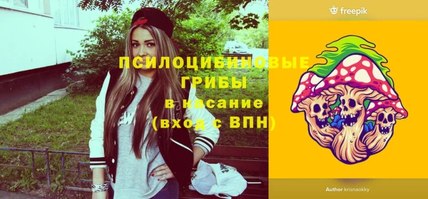 прущие грибы Алзамай
