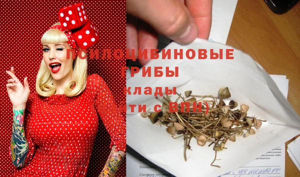 ALPHA PVP Алексин