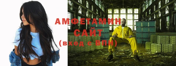 прущие грибы Алзамай