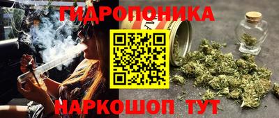 ПСИЛОЦИБИНОВЫЕ ГРИБЫ Можга