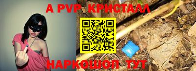 ПСИЛОЦИБИНОВЫЕ ГРИБЫ Можга