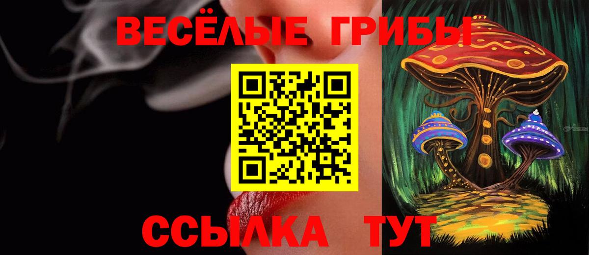 Дедовск  Галлюциногенные грибы мицелий  Вход с VPN 
