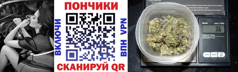 Марихуана сатива  где купить   Дедовск 
